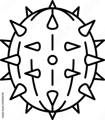 melon  icon