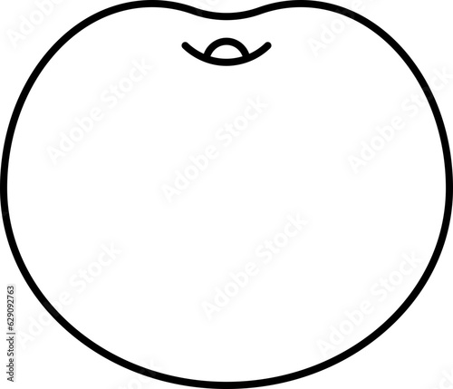 melon  icon