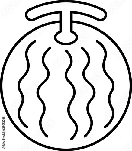 melon  icon