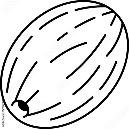 melon  icon