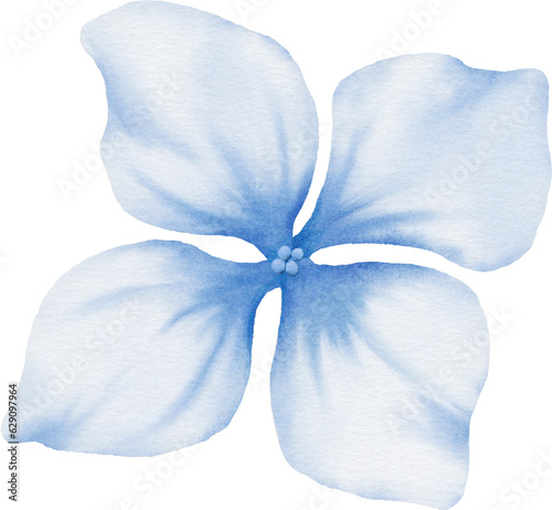 Flower Watercolor Element