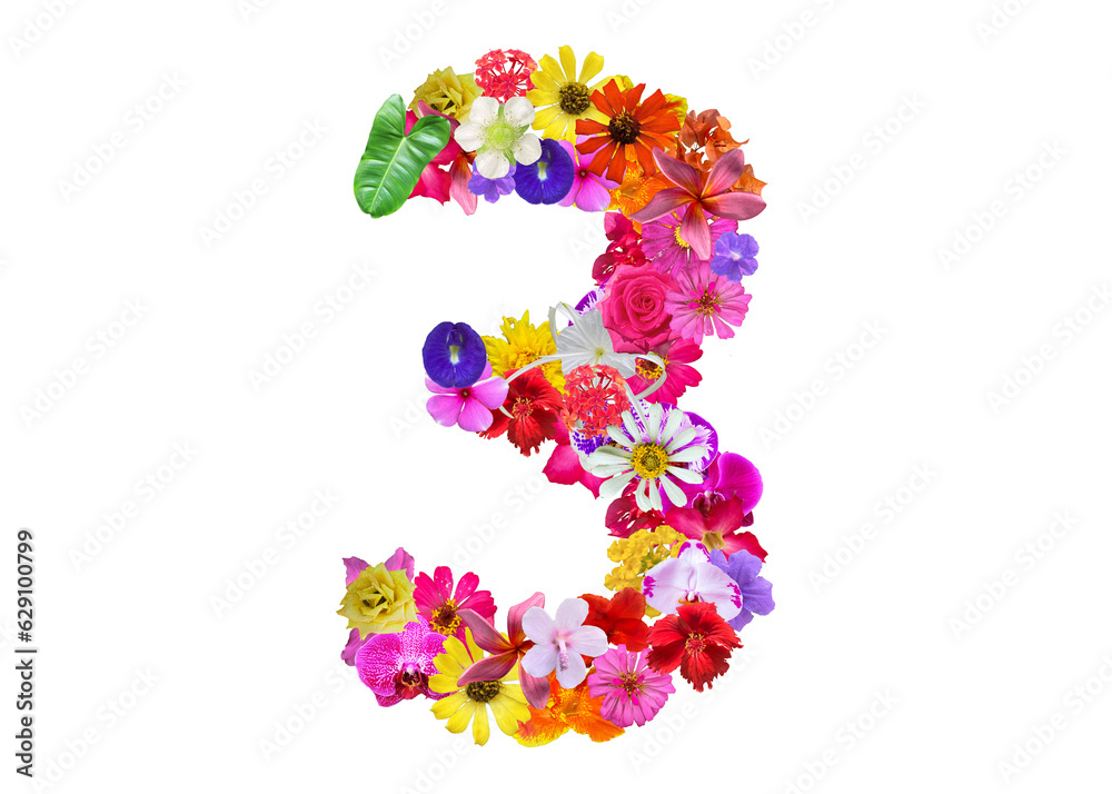 The shape of the number 3 is made of various kinds of flowers petals isolated on transparent background. suitable for birthday, anniversary and memorial day templates The shape of the number 3 is made of various kinds of flowers petals isolated on transparent background. suitable for birthday, anniversary and memorial day templates