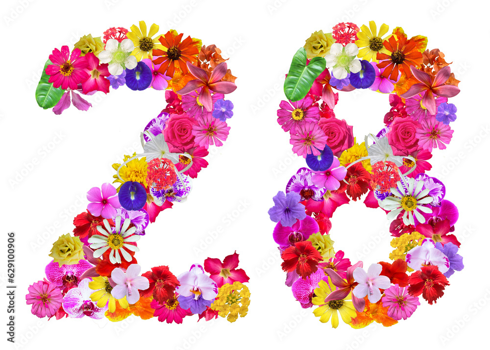 The shape of the number 28 is made of various kinds of flowers petals isolated on transparent background. suitable for birthday, anniversary and memorial day templates