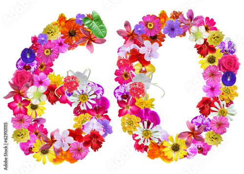 The shape of the number 60 is made of various kinds of flowers petals isolated on transparent background. suitable for birthday, anniversary and memorial day templates