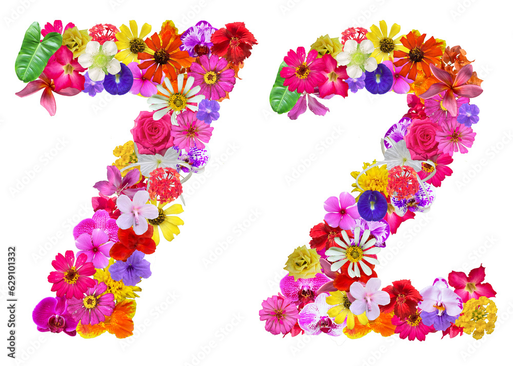 The shape of the number 72 is made of various kinds of flowers petals isolated on transparent background. suitable for birthday, anniversary and memorial day templates