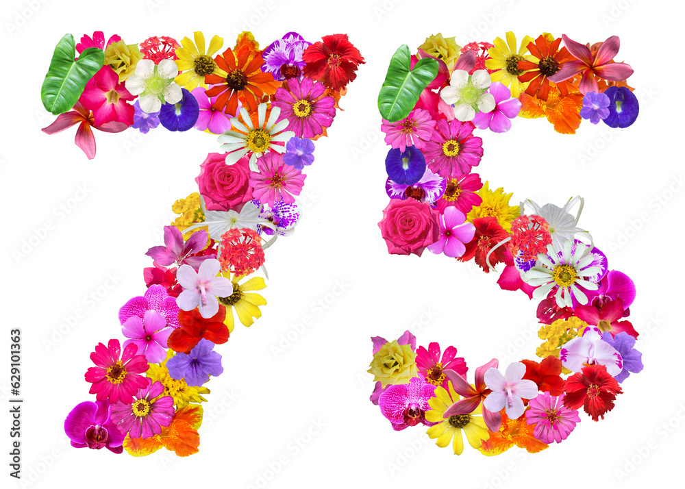 The shape of the number 75 is made of various kinds of flowers petals isolated on transparent background. suitable for birthday, anniversary and memorial day templates