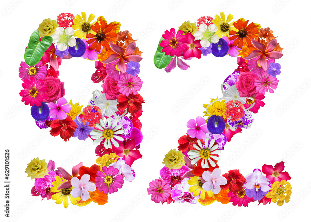 The shape of the number 92 is made of various kinds of flowers. suitable for birthday, anniversary and memorial day templates