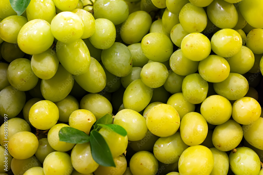 Fresh Fruit Brunch Green Grapes on Shelf in Fresh Fruit market. Bunch of green fresh ripe juicy grapes as background, close up. Fresh Fruit Brunch Green Grapes on Shelf in Fresh Fruit market. Bunch of green fresh ripe juicy grapes as background, close up.