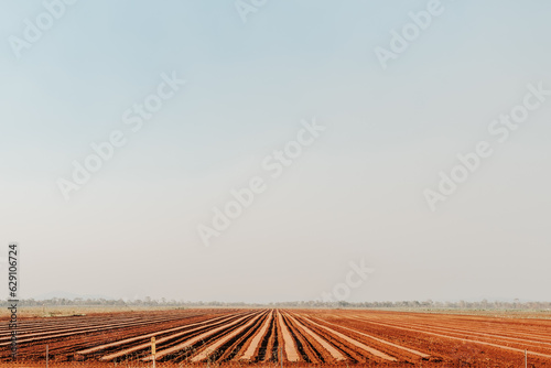 Rural field 