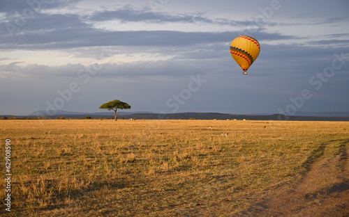 Hot air balloon is flying in the blue evening sky over the African savannah