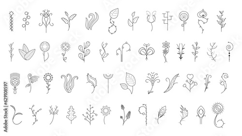 Big Abstract Set Doodle Elements Hand Drawn Collection Botanic Herbal Flora Leaf Branch Vine Flower Plant Elements F Vector Desgin Style