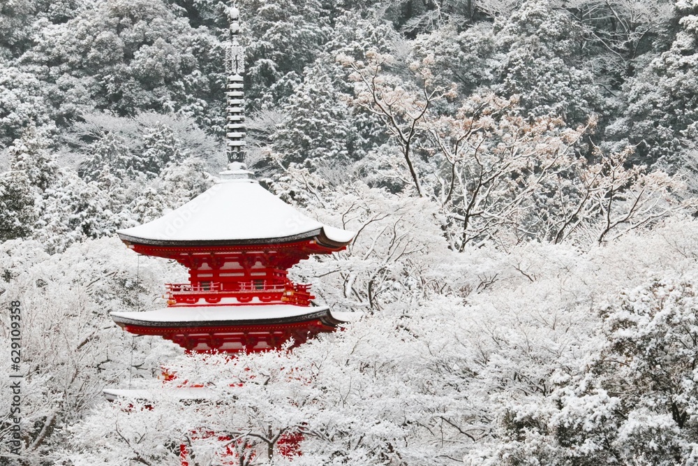 Naklejka premium 京都の冬；清水寺