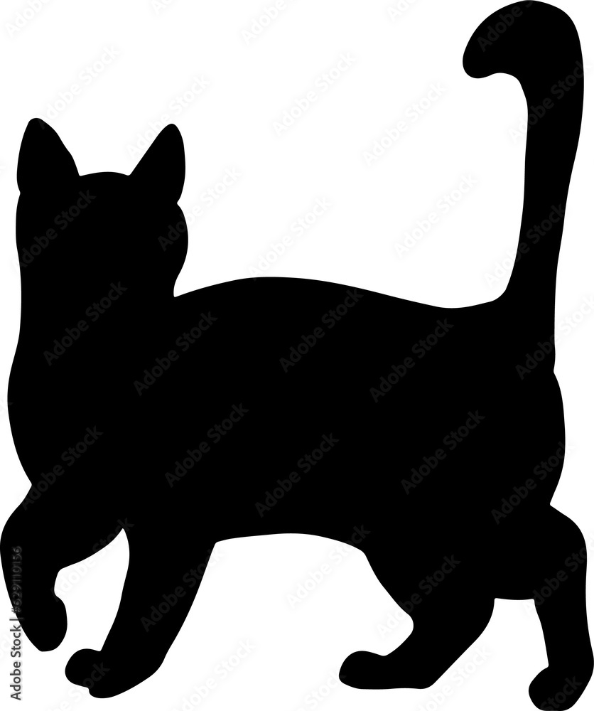 The cat or kitty illustrations for pet concept