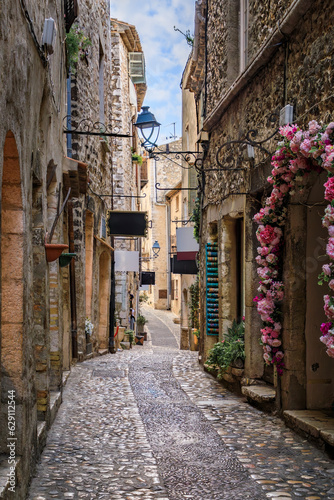 Fototapeta Naklejka Na Ścianę i Meble -  Traditional old stone houses on a street in the medieval town of Saint Paul de Vence, French Riviera, South of France
