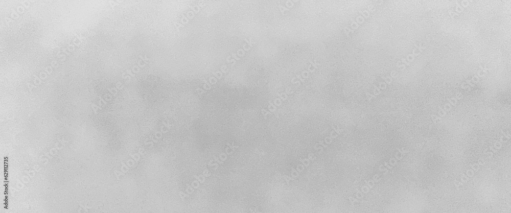 Abstract light white blurred background horizontal panoramic web banner, pastel white gradient blur abstract blurred soft focus of bright white color background concept, copy space, vector. Abstract light white blurred background horizontal panoramic web banner, pastel white gradient blur abstract blurred soft focus of bright white color background concept, copy space, vector.