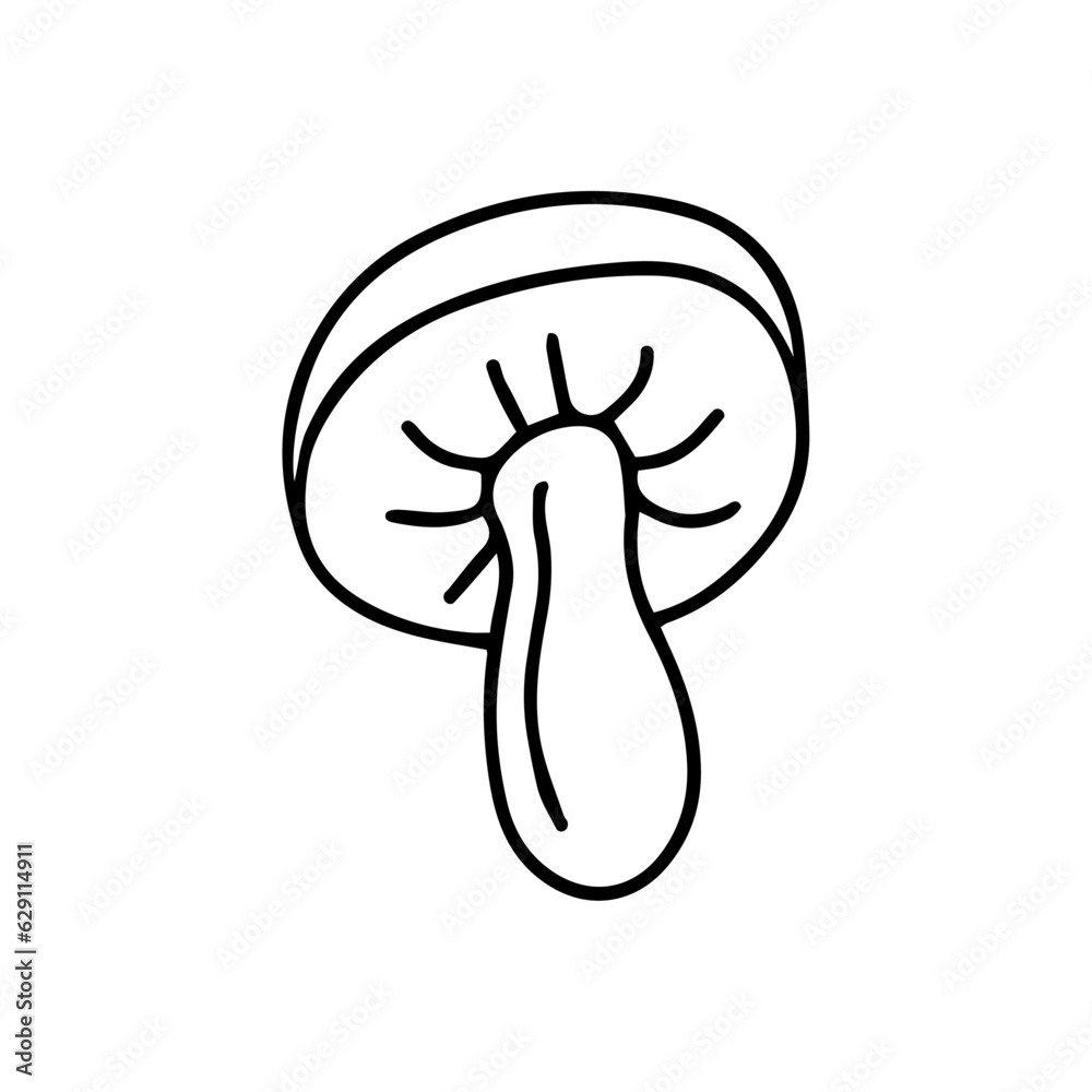 Hand drawn mushroom illustration. Isolated on white background Hand drawn mushroom illustration. Isolated on white background
