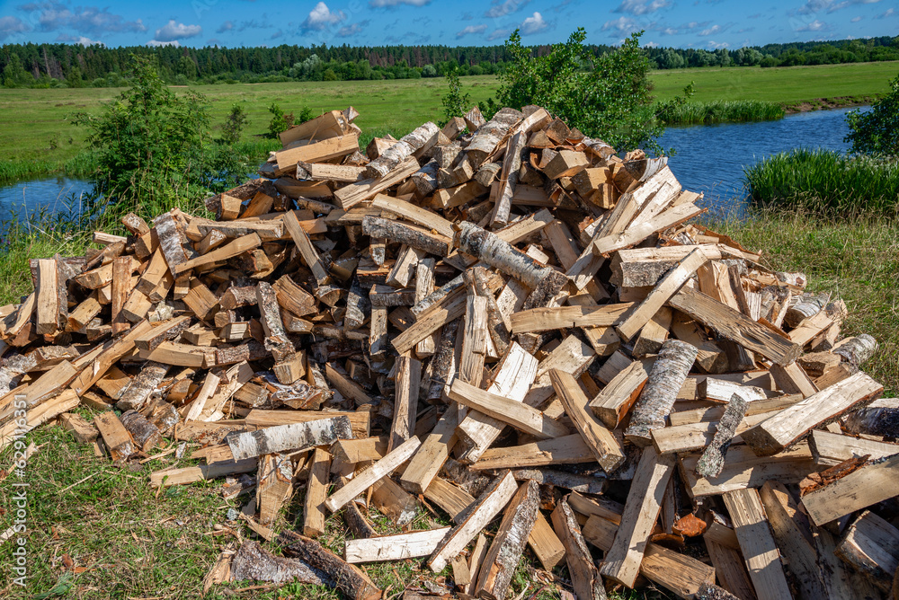 A pile of firewood on the river bank A pile of firewood on the river bank