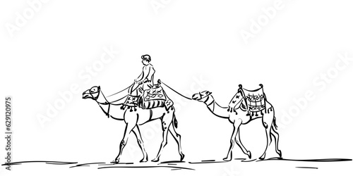 Sketch of caravan of two camels and one person riding a camel, Desert animal transport hand drawn illustration simple doodle