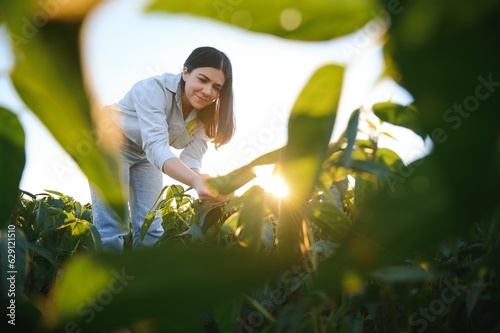 Female farmer or agronomist examining green soybean plants in field photo