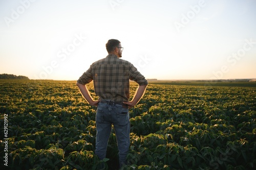 Farmer in soybean fields. Growth  outdoor.
