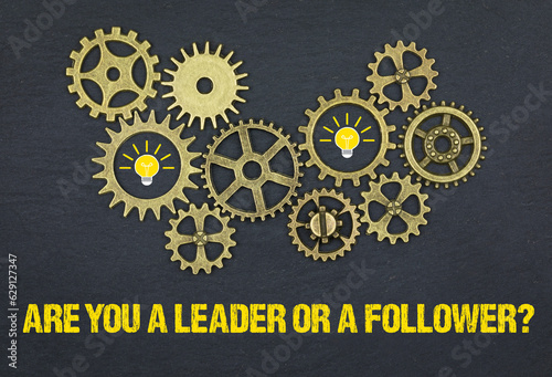 Are you a leader or a follower?	