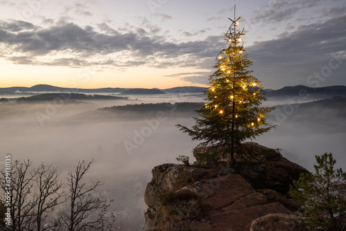 Captivating Sunrise at Wachtfelsen, Wernersberg. Enchanting Pfälzerwald: Mist, clouds, and a fir tree in the morning glow