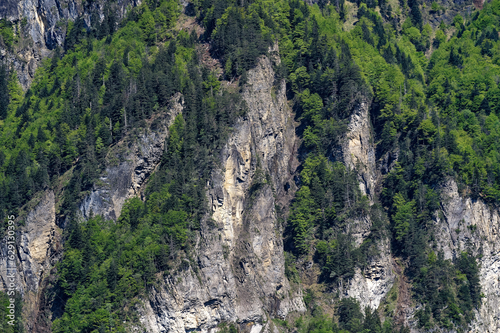 Scenic view of rock with cliff at lakeshore of Lake Lucerne on a sunny spring day. Photo taken May 22nd, 2023, Sisikon, Switzerland.