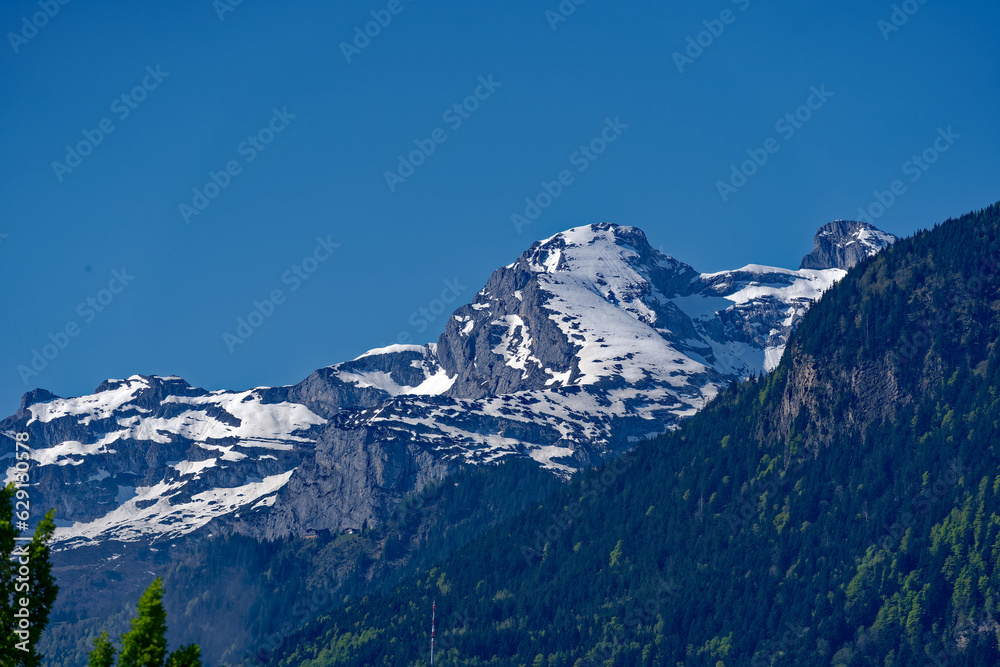 Beautiful mountain panorama with woodland in the Swiss Alps at lakeshore of Lake Uri on a sunny spring morning. Photo taken May 22nd, 2023, Sisikon, Switzerland.