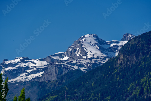 Beautiful mountain panorama with woodland in the Swiss Alps at lakeshore of Lake Uri on a sunny spring morning. Photo taken May 22nd, 2023, Sisikon, Switzerland. © Michael Derrer Fuchs