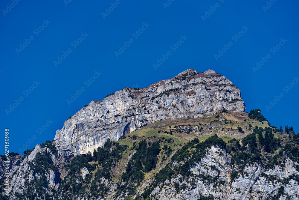 Beautiful mountain panorama with woodland and peak in the Swiss Alps at lakeshore of Lake Lucerne on a sunny spring morning. Photo taken May 22nd, 2023, Sisikon, Switzerland. Beautiful mountain panorama with woodland and peak in the Swiss Alps at lakeshore of Lake Lucerne on a sunny spring morning. Photo taken May 22nd, 2023, Sisikon, Switzerland.