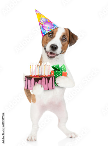 Jack russell terrier puppy wearing a party hat holds gift box and birthday cake with lot of candle and looks at camera. isolated on white background © Ermolaev Alexandr