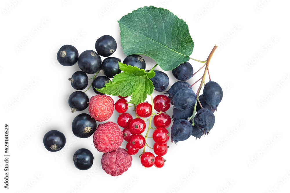 Fresh wild berries with leaves isolated on transparent background.
