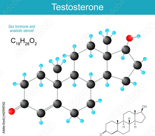 Testosterone molecule.