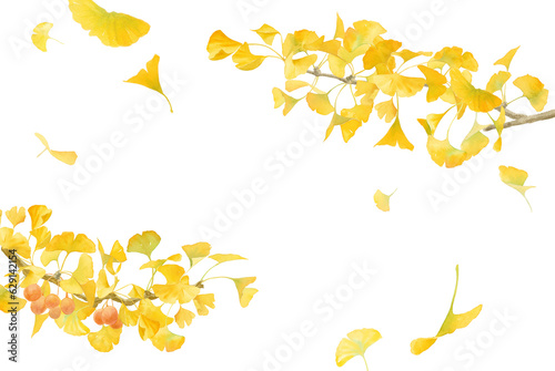 黄色に色づいたイチョウの水彩イラスト。左右から伸びたイチョウの枝のフレーム装飾。