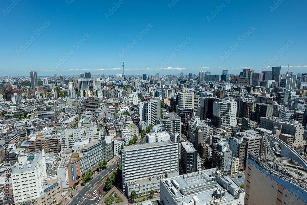 Fototapeta premium 東京 文京シビックセンター展望台からの眺め スカイツリー方面
