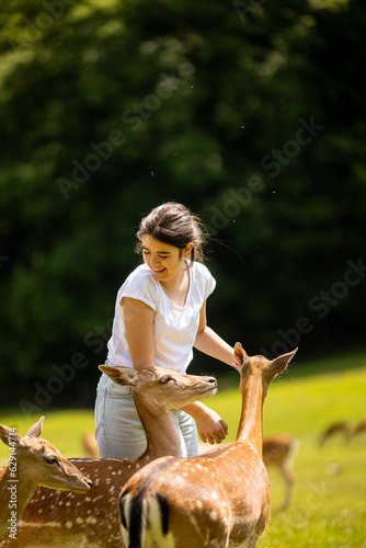 Little girl among reindeer herd on the sunny day photo