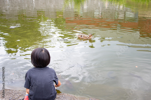 マガモ