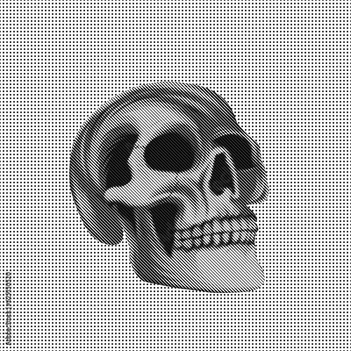 skull2 (ID: 629150520)