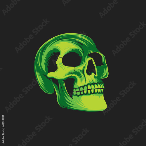 human skull (ID: 629151131)