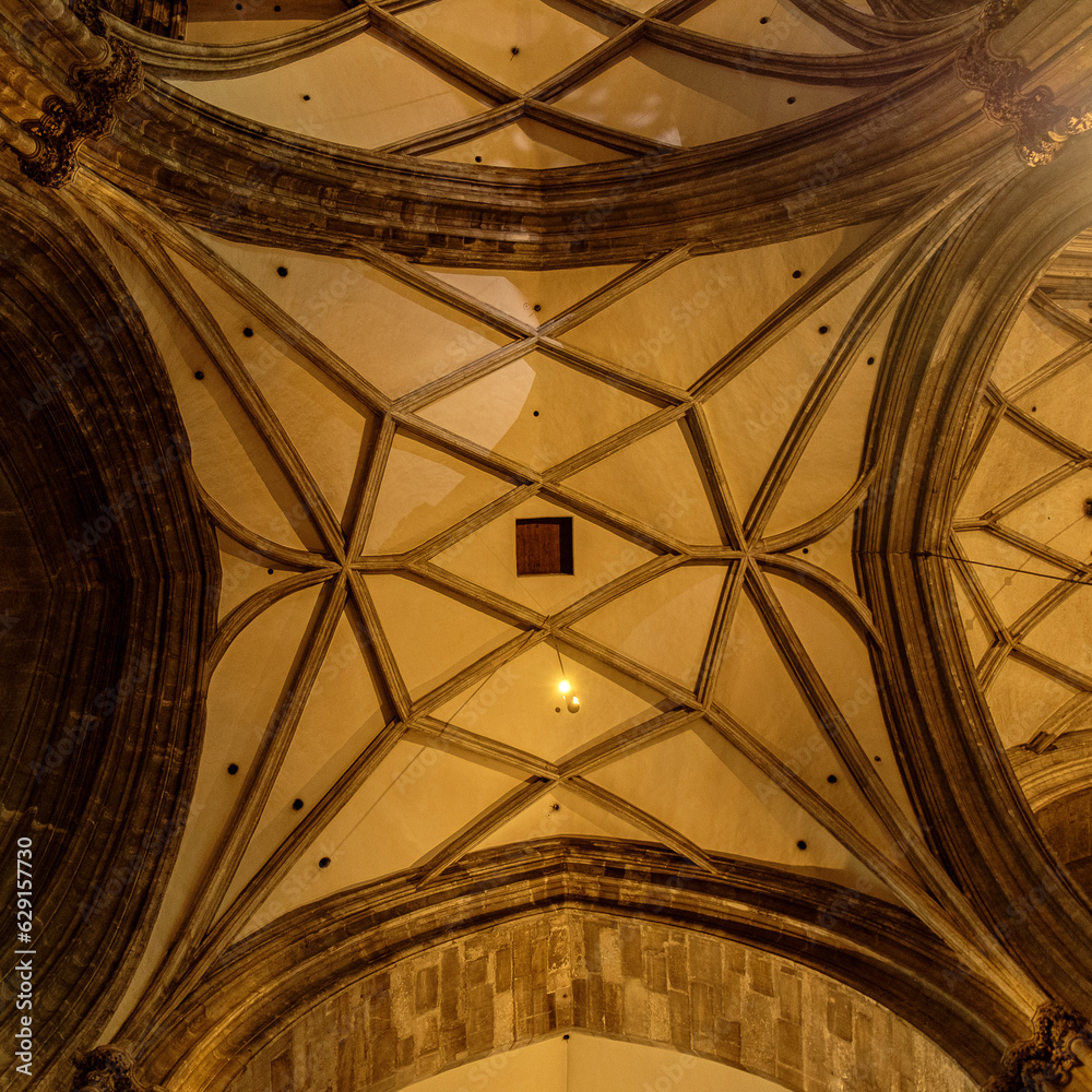 ceiling of the cathedral