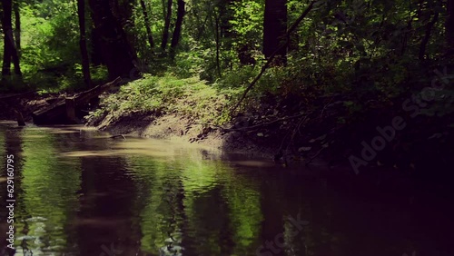 River in green forest