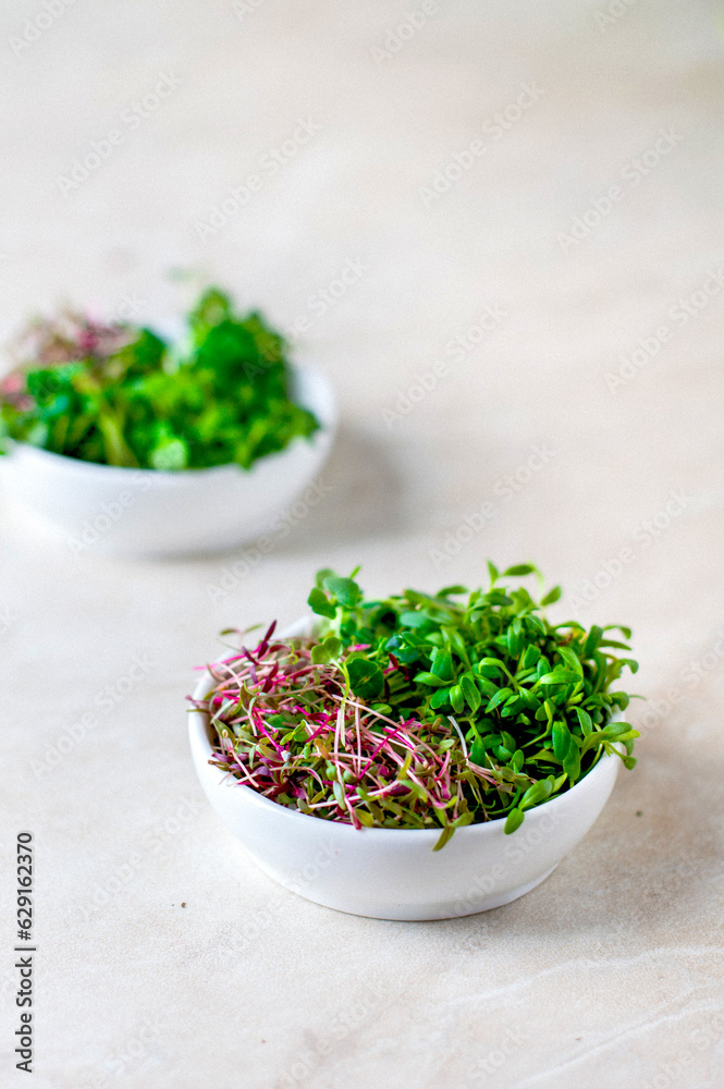 Bowls with chopped microgreens on a light background. Assorted microgreens in a white bowl. Bowls with chopped microgreens on a light background. Assorted microgreens in a white bowl.