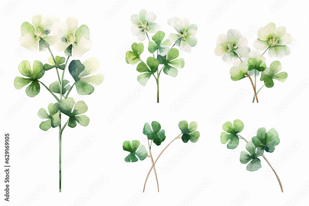 Fototapeta premium Lucky clover leaves with four leaf. Patricks day watercolor clipart