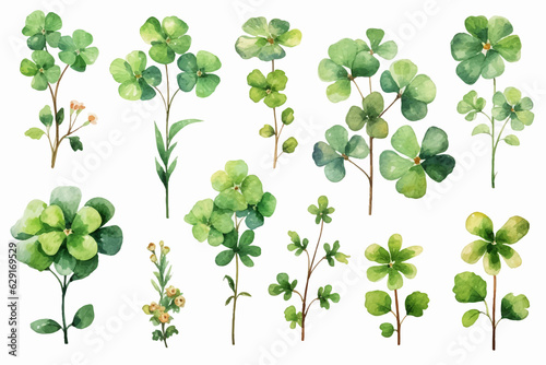 Lucky clover leaves with four leaf. Patricks day watercolor clipart