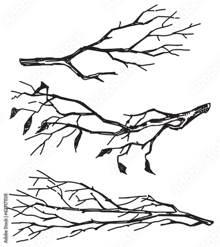 Set of bare branches. Sketches of leafless tree twigs. Hand drawn vector illustrations. Outline clipart collection isolated on white.