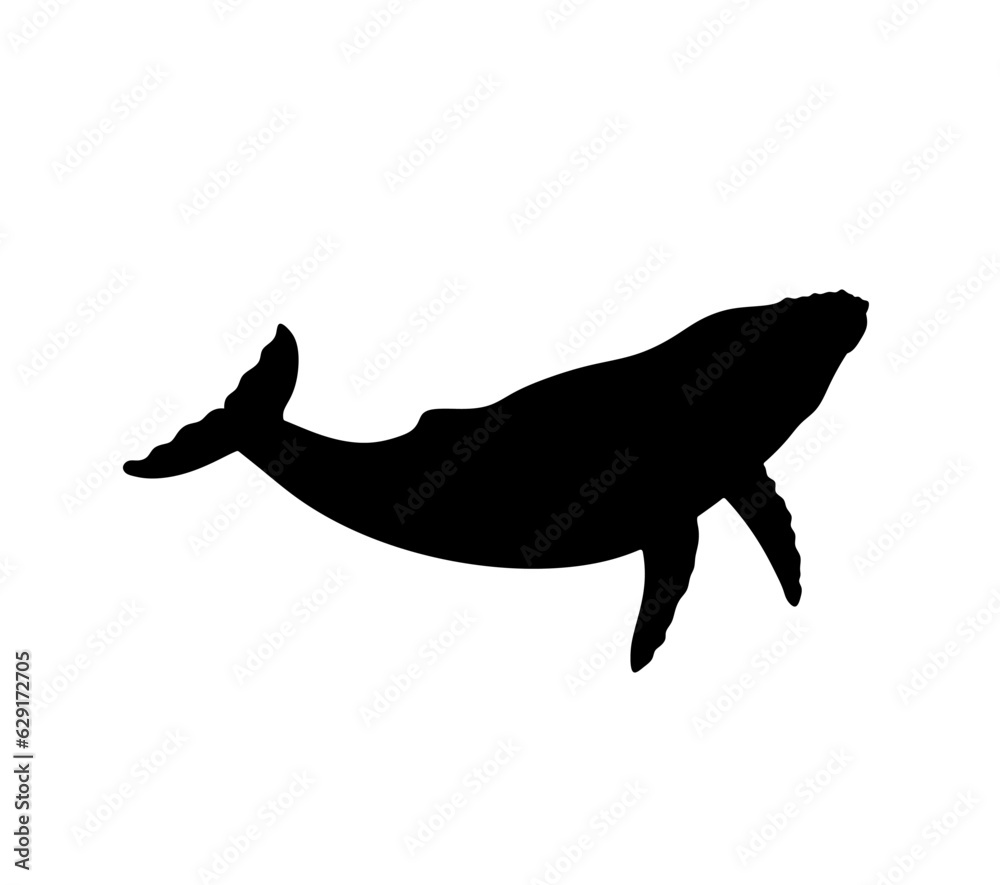 Vector isolated one single swimming floating whale underwater side view colorless black and white outline silhouette shadow shape Vector isolated one single swimming floating whale underwater side view colorless black and white outline silhouette shadow shape