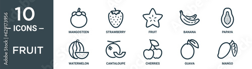 fruit outline icon set includes thin line mangosteen, strawberry, fruit, banana, papaya, watermelon, cantaloupe icons for report, presentation, diagram, web design