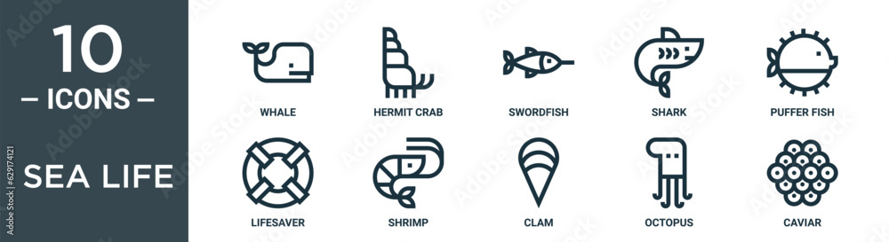 sea life outline icon set includes thin line whale, hermit crab, swordfish, shark, puffer fish, lifesaver, shrimp icons for report, presentation, diagram, web design sea life outline icon set includes thin line whale, hermit crab, swordfish, shark, puffer fish, lifesaver, shrimp icons for report, presentation, diagram, web design