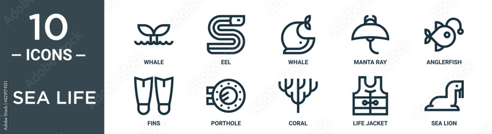 sea life outline icon set includes thin line whale, eel, whale, manta ray, anglerfish, fins, porthole icons for report, presentation, diagram, web design sea life outline icon set includes thin line whale, eel, whale, manta ray, anglerfish, fins, porthole icons for report, presentation, diagram, web design