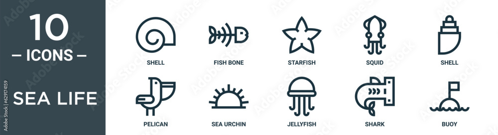 sea life outline icon set includes thin line shell, fish bone, starfish, squid, shell, pelican, sea urchin icons for report, presentation, diagram, web design sea life outline icon set includes thin line shell, fish bone, starfish, squid, shell, pelican, sea urchin icons for report, presentation, diagram, web design